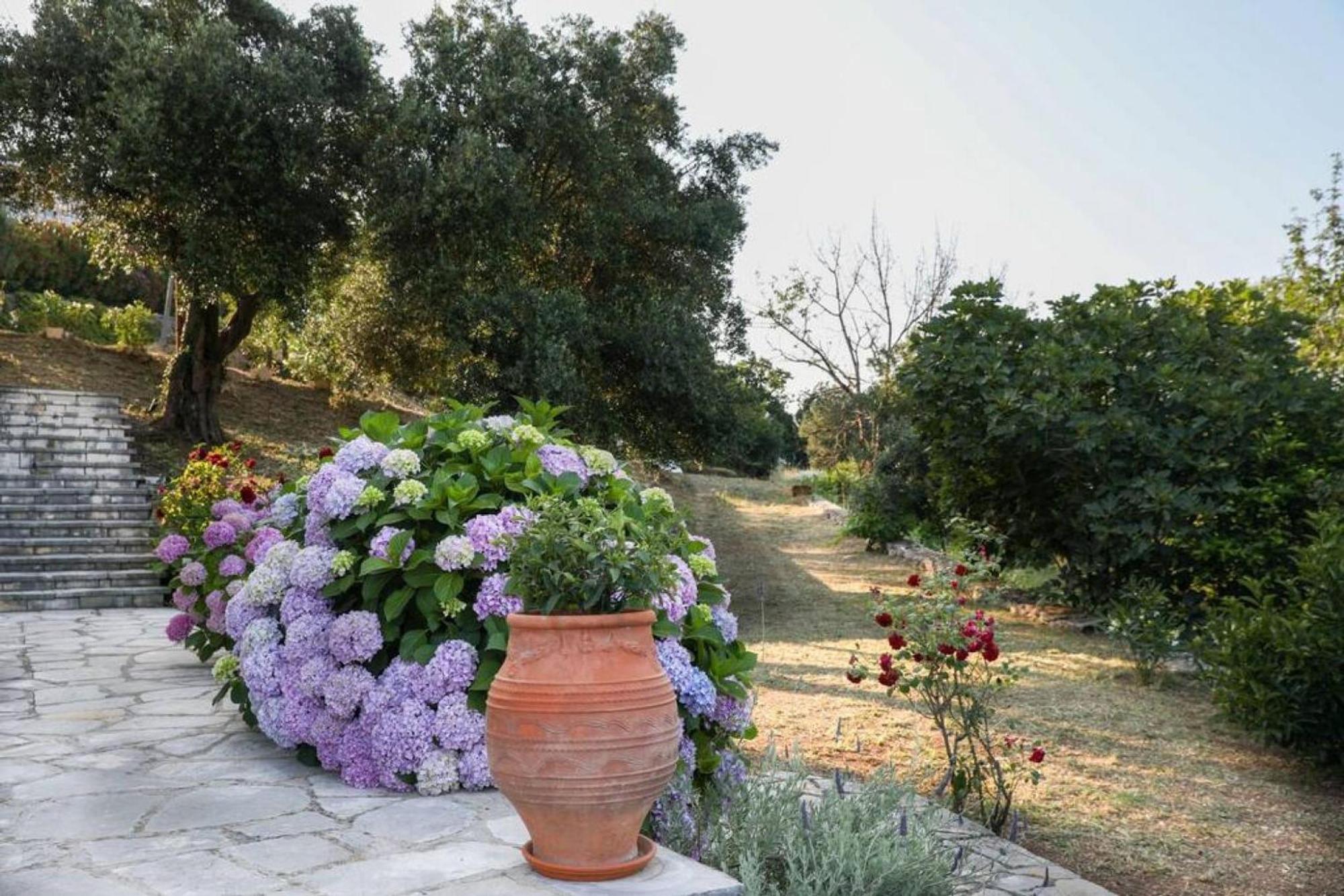 Sinies Stone Cottage - Ne Corfu Agnícini Kültér fotó